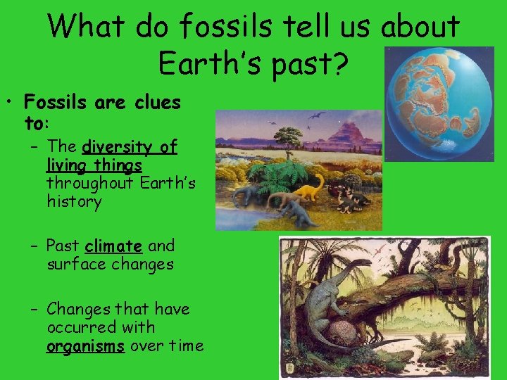 What do fossils tell us about Earth’s past? • Fossils are clues to: –