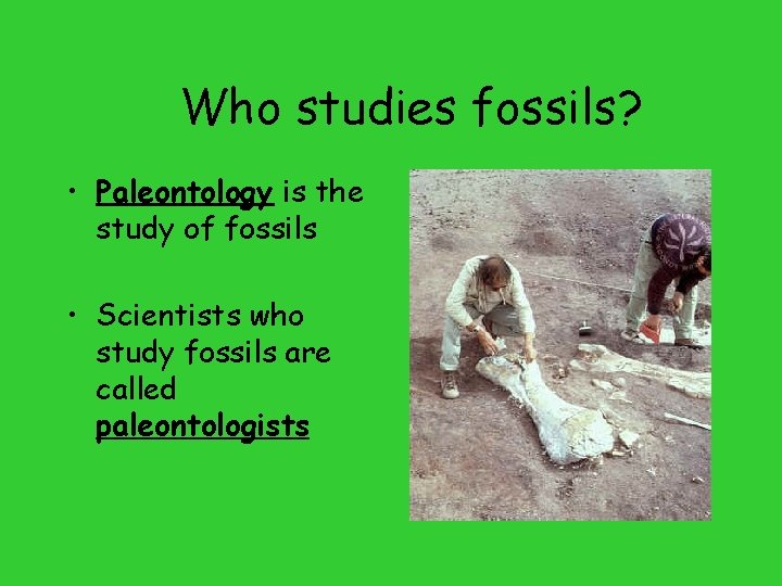 Who studies fossils? • Paleontology is the study of fossils • Scientists who study
