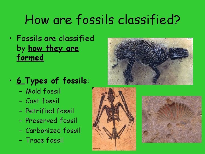 How are fossils classified? • Fossils are classified by how they are formed •