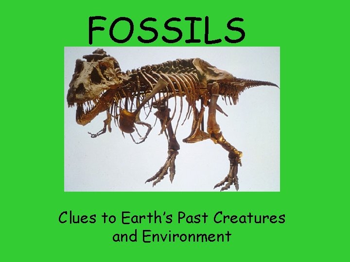 FOSSILS Clues to Earth’s Past Creatures and Environment 