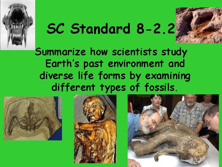 SC Standard 8 -2. 2 Summarize how scientists study Earth’s past environment and diverse