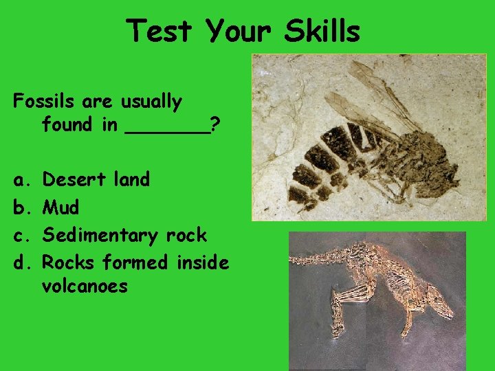 Test Your Skills Fossils are usually found in _______? a. b. c. d. Desert