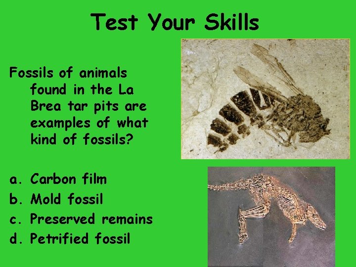 Test Your Skills Fossils of animals found in the La Brea tar pits are