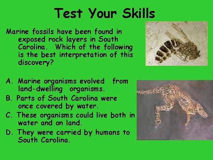 Test Your Skills Marine fossils have been found in exposed rock layers in South