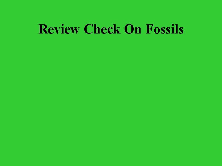 Review Check On Fossils 