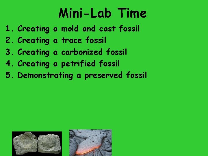 Mini-Lab Time 1. 2. 3. 4. 5. Creating a mold and cast fossil Creating