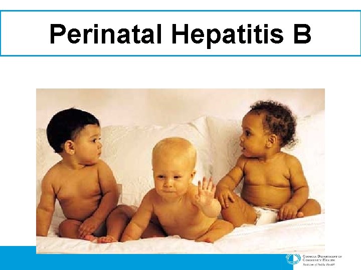 Perinatal Hepatitis B 