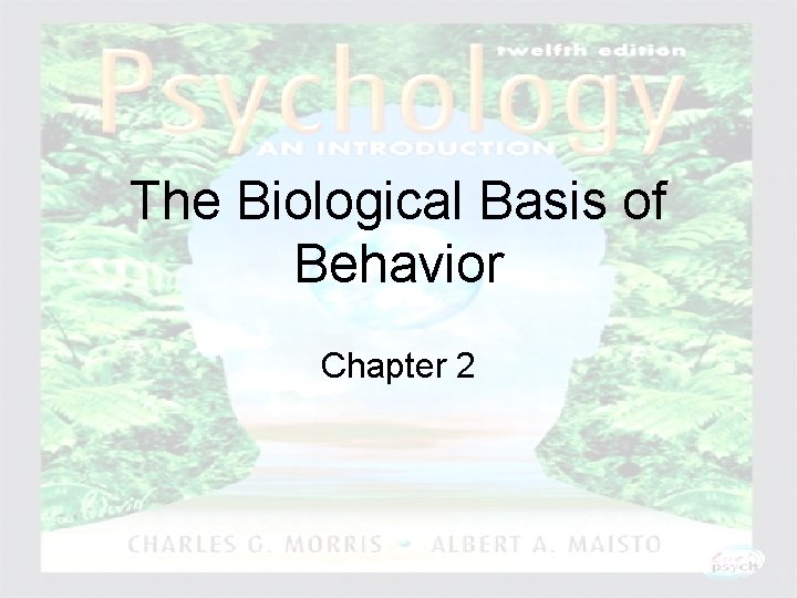 The Biological Basis of Behavior Chapter 2 Psychology: An Introduction Charles A. Morris &