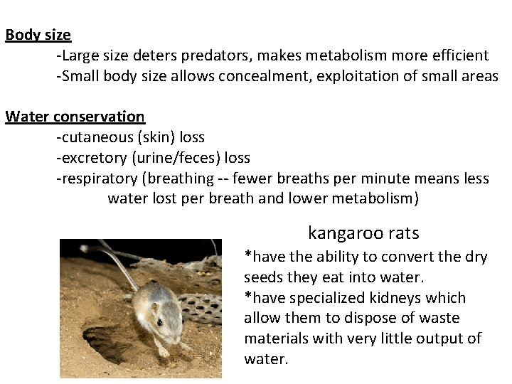 Body size -Large size deters predators, makes metabolism more efficient -Small body size allows Body size -Large size deters predators, makes metabolism more efficient -Small body size allows