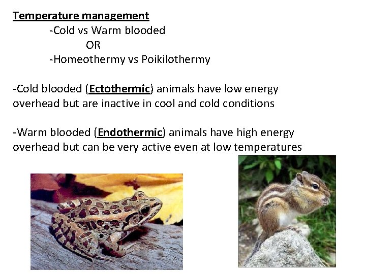 Temperature management -Cold vs Warm blooded OR -Homeothermy vs Poikilothermy -Cold blooded (Ectothermic) animals Temperature management -Cold vs Warm blooded OR -Homeothermy vs Poikilothermy -Cold blooded (Ectothermic) animals