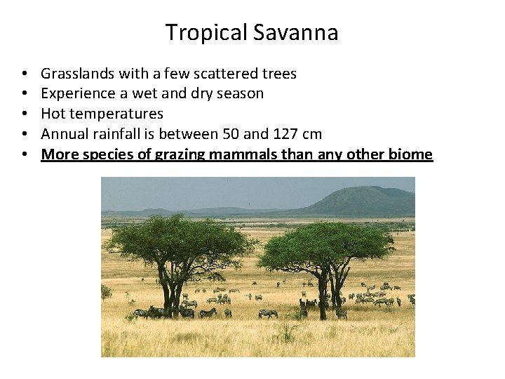 Tropical Savanna • • • Grasslands with a few scattered trees Experience a wet Tropical Savanna • • • Grasslands with a few scattered trees Experience a wet