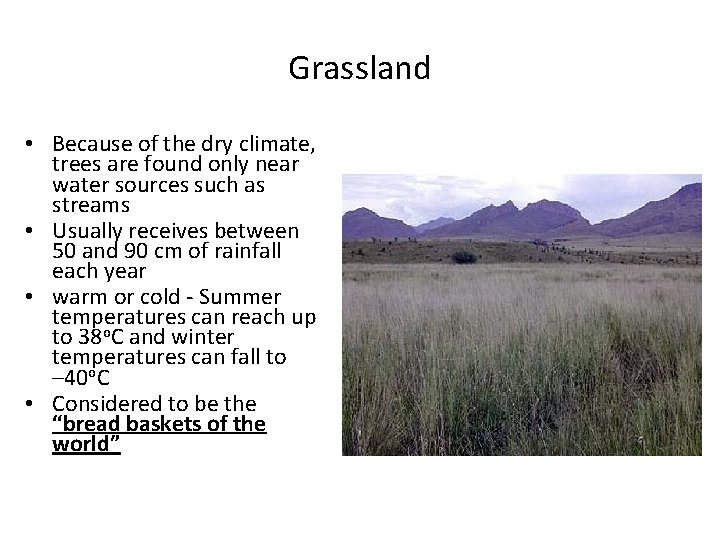 Grassland • Because of the dry climate, trees are found only near water sources Grassland • Because of the dry climate, trees are found only near water sources
