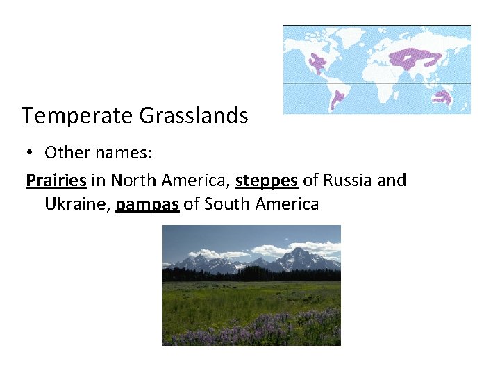 Temperate Grasslands • Other names: Prairies in North America, steppes of Russia and Ukraine, Temperate Grasslands • Other names: Prairies in North America, steppes of Russia and Ukraine,