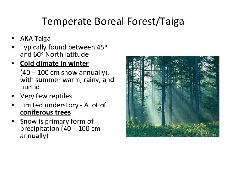 Temperate Boreal Forest/Taiga • AKA Taiga • Typically found between 45 o and 60 Temperate Boreal Forest/Taiga • AKA Taiga • Typically found between 45 o and 60