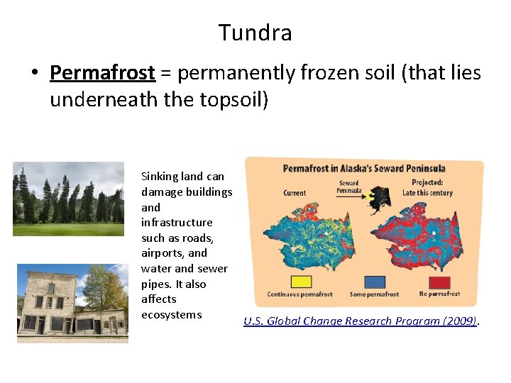 Tundra • Permafrost = permanently frozen soil (that lies underneath the topsoil) Sinking land Tundra • Permafrost = permanently frozen soil (that lies underneath the topsoil) Sinking land