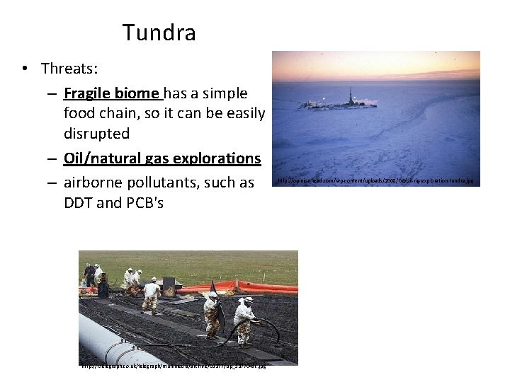 Tundra • Threats: – Fragile biome has a simple food chain, so it can Tundra • Threats: – Fragile biome has a simple food chain, so it can