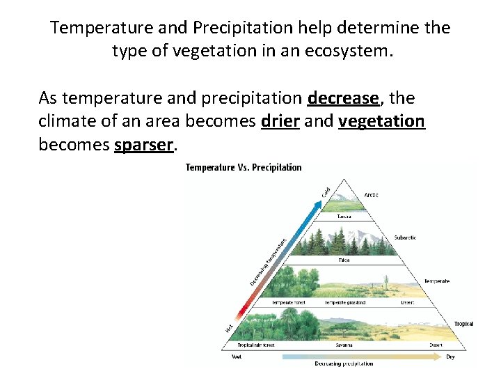 Temperature and Precipitation help determine the type of vegetation in an ecosystem. As temperature Temperature and Precipitation help determine the type of vegetation in an ecosystem. As temperature