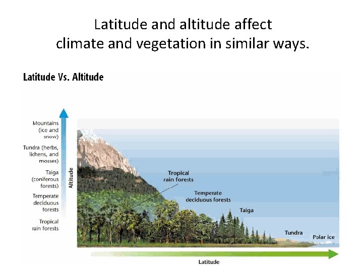 Latitude and altitude affect climate and vegetation in similar ways. Latitude and altitude affect climate and vegetation in similar ways.