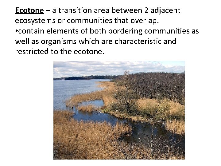 Ecotone – a transition area between 2 adjacent ecosystems or communities that overlap. • Ecotone – a transition area between 2 adjacent ecosystems or communities that overlap. •