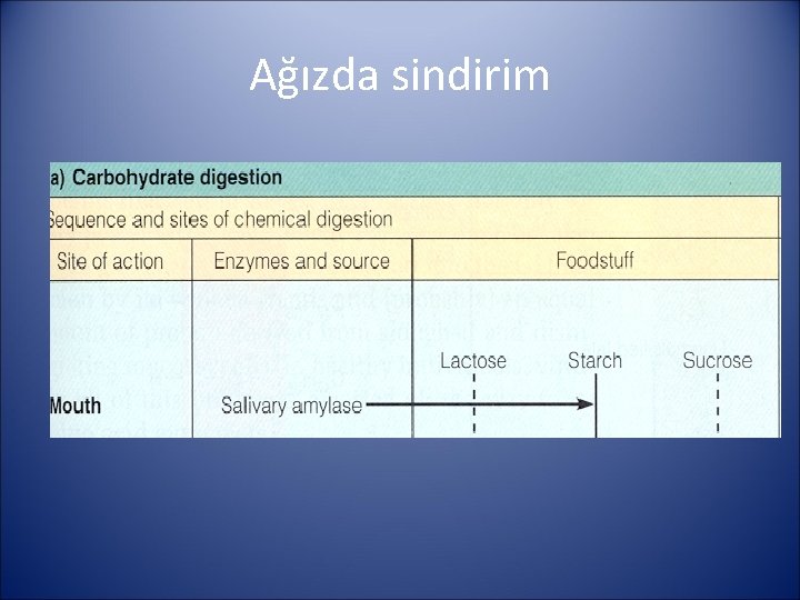 Ağızda sindirim 