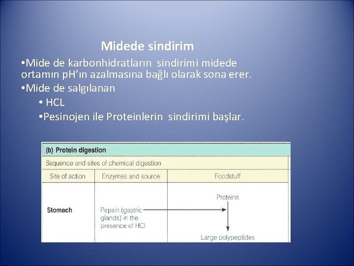 Midede sindirim • Mide de karbonhidratların sindirimi midede ortamın p. H’ın azalmasına bağlı olarak