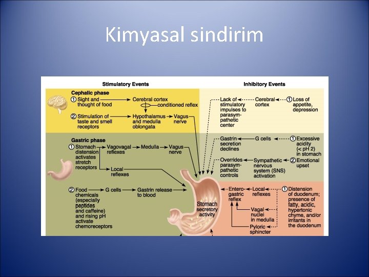 Kimyasal sindirim 