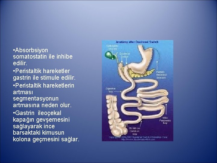  • Absorbsiyon somatostatin ile inhibe edilir. • Peristaltik hareketler gastrin ile stimule edilir.