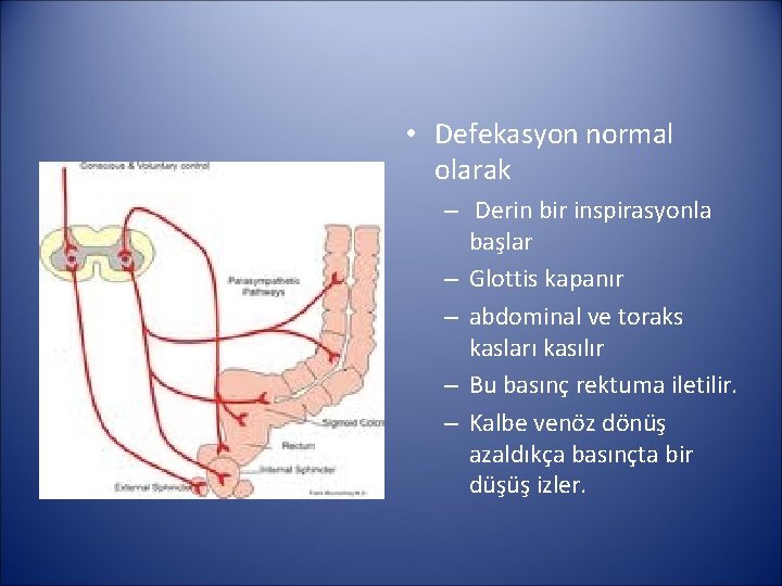  • Defekasyon normal olarak – Derin bir inspirasyonla başlar – Glottis kapanır –