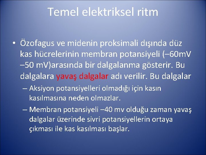 Temel elektriksel ritm • Özofagus ve midenin proksimali dışında düz kas hücrelerinin membran potansiyeli