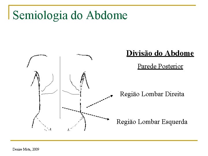 Semiologia do Abdome Divisão do Abdome Parede Posterior Região Lombar Direita Região Lombar Esquerda