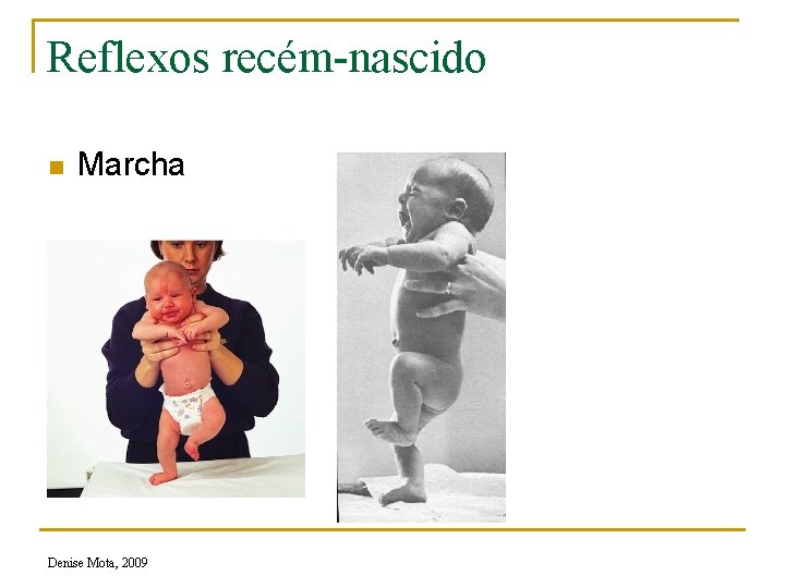 Reflexos recém-nascido n Marcha Denise Mota, 2009 