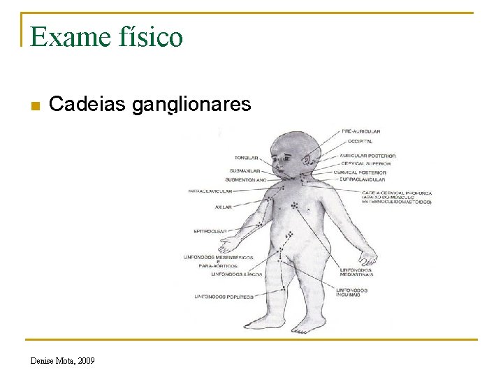 Exame físico n Cadeias ganglionares Denise Mota, 2009 