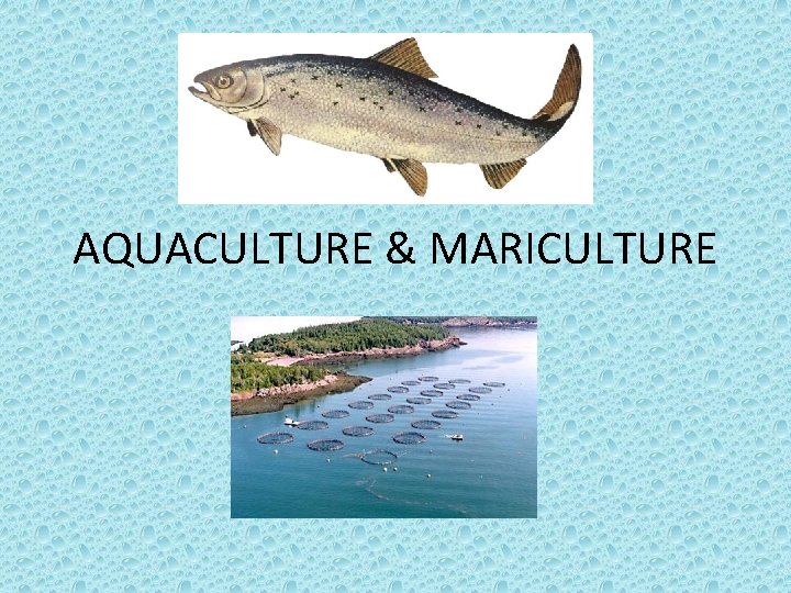 AQUACULTURE & MARICULTURE 