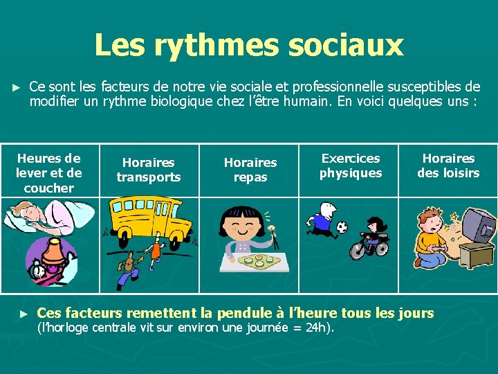 Les rythmes sociaux ► Ce sont les facteurs de notre vie sociale et professionnelle