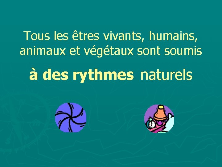 Tous les êtres vivants, humains, animaux et végétaux sont soumis à des rythmes naturels