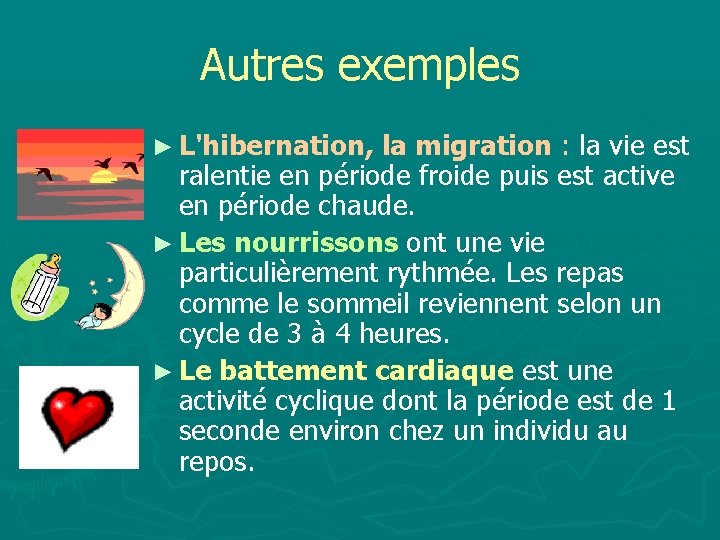 Autres exemples ► L'hibernation, la migration : la vie est ralentie en période froide