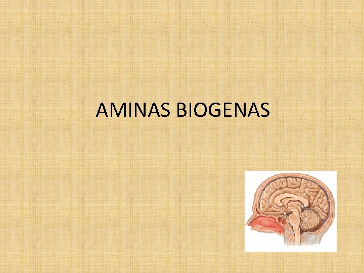AMINAS BIOGENAS 