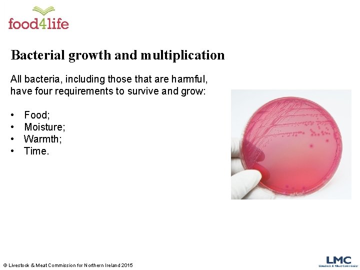 Bacterial growth and multiplication All bacteria, including those that are harmful, have four requirements