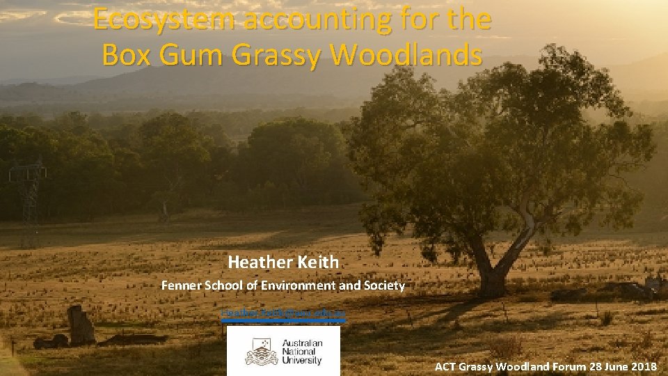 Ecosystem accounting for the Box Gum Grassy Woodlands Heather Keith Fenner School of Environment