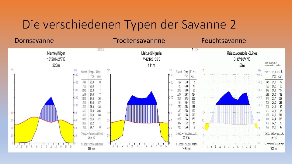 Die verschiedenen Typen der Savanne 2 Dornsavanne Trockensavannne Feuchtsavanne 