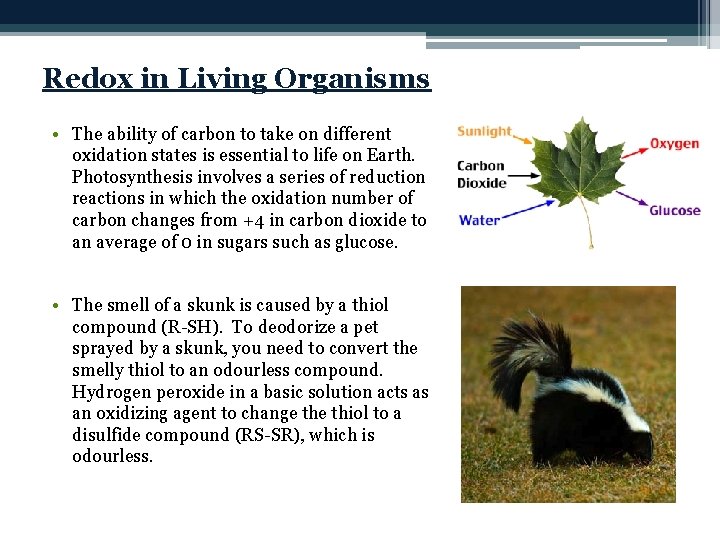 Redox in Living Organisms • The ability of carbon to take on different oxidation