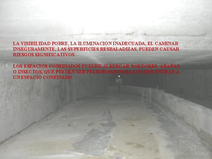 LA VISIBILIDAD POBRE, LA ILUMINACIÓN INADECUADA, EL CAMINAR INSEGURAMENTE, LAS SUPERFICIES RESBALADIZAS, PUEDEN CAUSAR