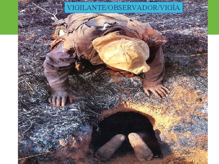 VIGILANTE/OBSERVADOR/VIGÍA ARP SURA 