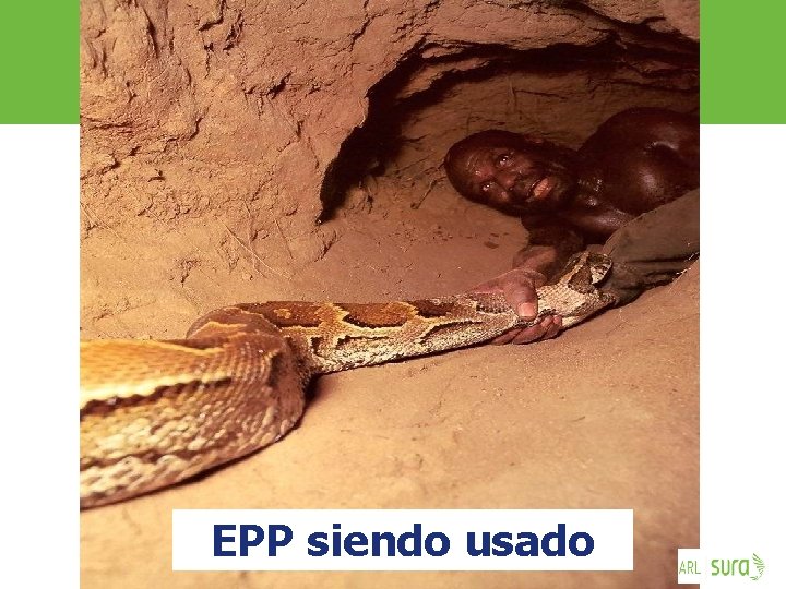 EPP siendo usado ARP SURA 
