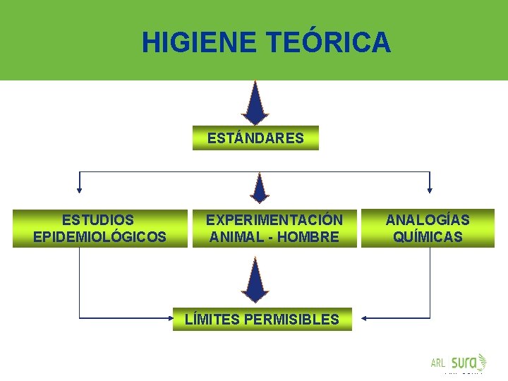 HIGIENE TEÓRICA ESTÁNDARES ESTUDIOS EPIDEMIOLÓGICOS EXPERIMENTACIÓN ANIMAL - HOMBRE ANALOGÍAS QUÍMICAS LÍMITES PERMISIBLES ARP
