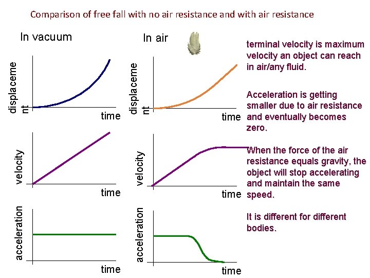 Comparison of free fall with no air resistance and with air resistance time velocity
