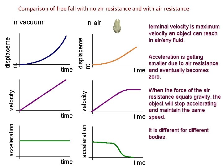 Comparison of free fall with no air resistance and with air resistance time velocity