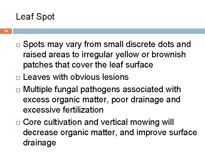Leaf Spot 16 Spots may vary from small discrete dots and raised areas to