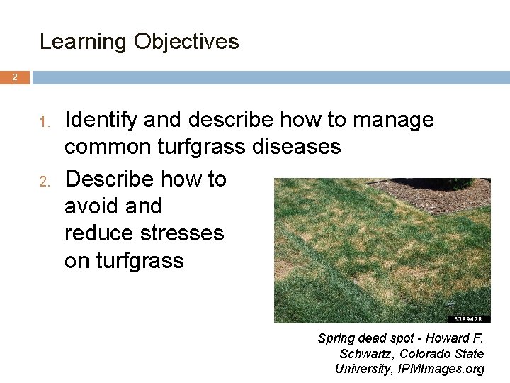 Learning Objectives 2 1. 2. Identify and describe how to manage common turfgrass diseases