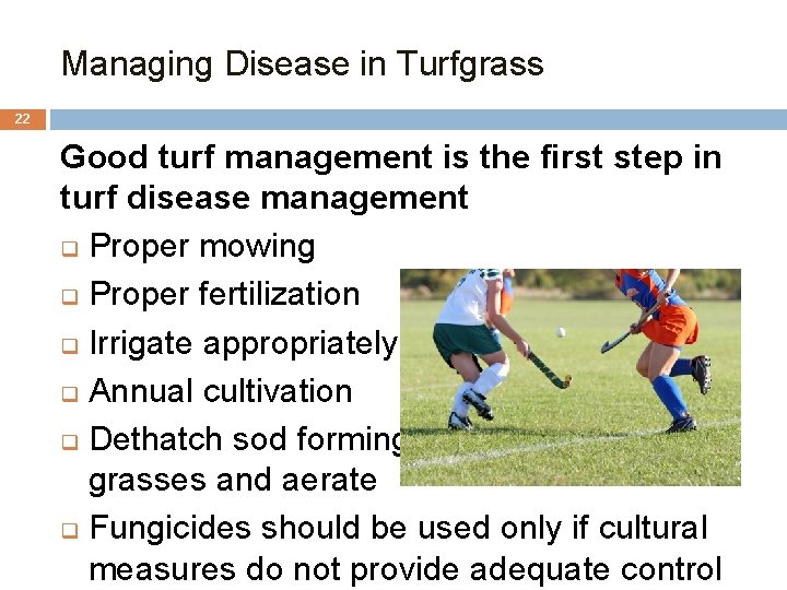 Managing Disease in Turfgrass 22 Good turf management is the first step in turf